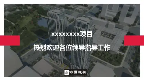 鲁班奖项目创优策划详解报告含图