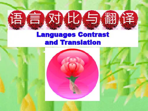 语言对比与翻译1PPT课件