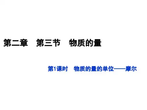 2.3物质的量课件高一化学人教版必修第一册