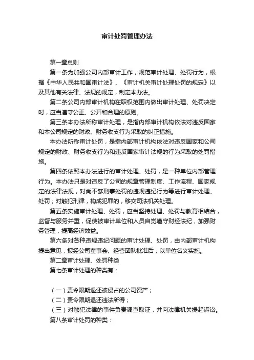 审计处罚管理办法