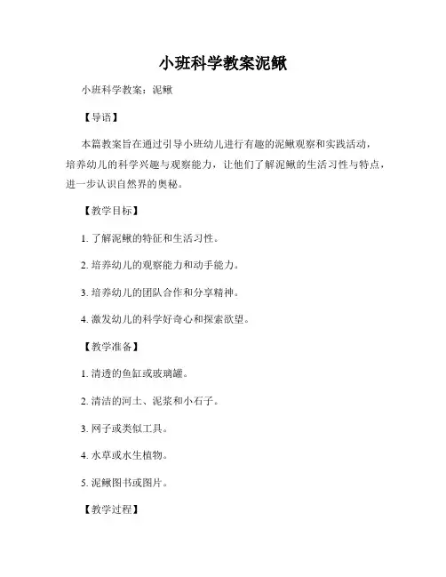 小班科学教案泥鳅