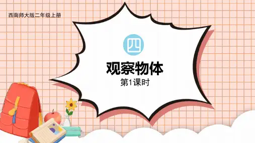 西师大版二年级上册数学《观察物体》说课教学课件