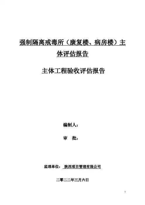 监理主体评估报告
