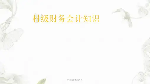 村级会计基础知识ppt课件