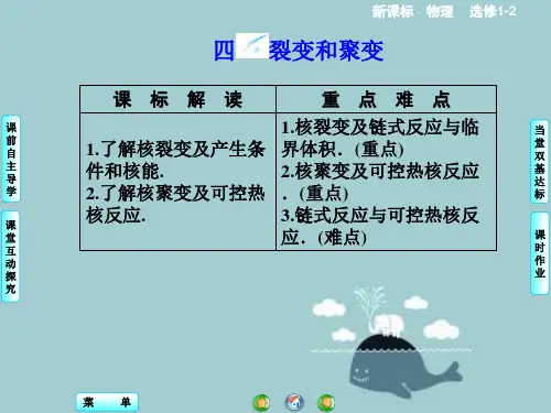裂变和聚变ppt课件