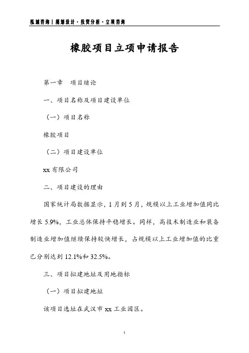橡胶项目立项申请报告