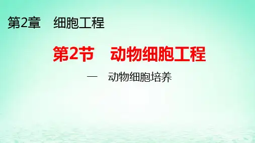 新教材高中生物第2章第2节动物细胞工程一动物细胞培养pptx课件新人教版选择性必修3
