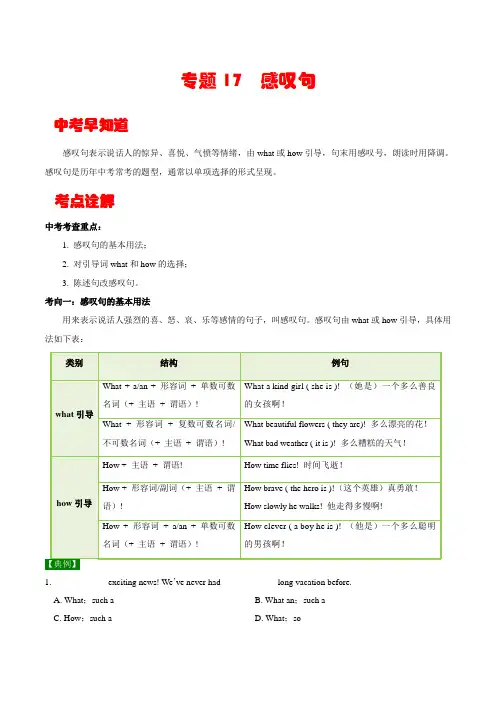 【中考英语考点详解+专项训练】专题17  感叹句 (原卷及答案)