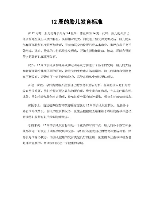 12周的胎儿发育标准