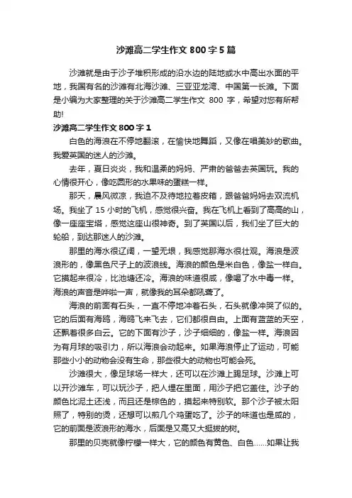 沙滩高二学生作文800字5篇
