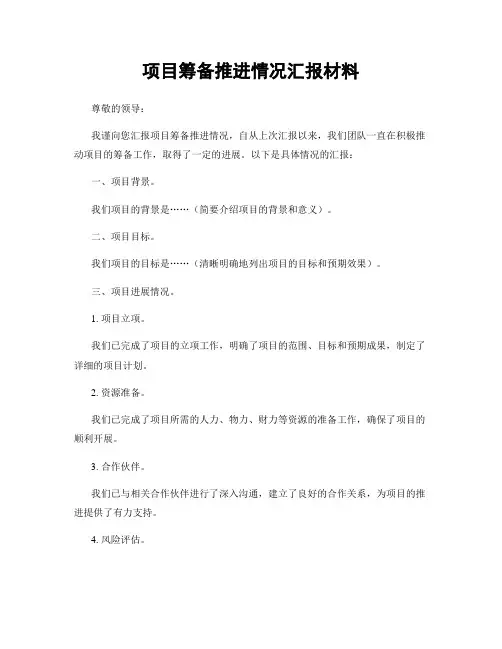 项目筹备推进情况汇报材料