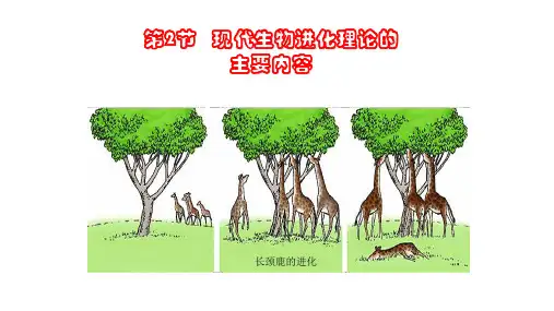 人教版必修2生物：7.2 现代生物进化理论的主要内容 课件(共21张PPT)