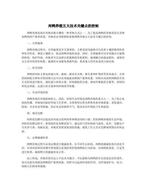 肉鸭养殖五大技术关键点的控制