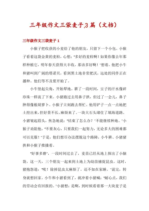 三年级作文三袋麦子,3篇