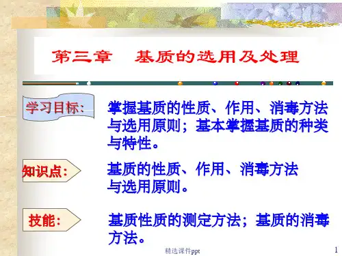 《无土栽培技术》PPT课件