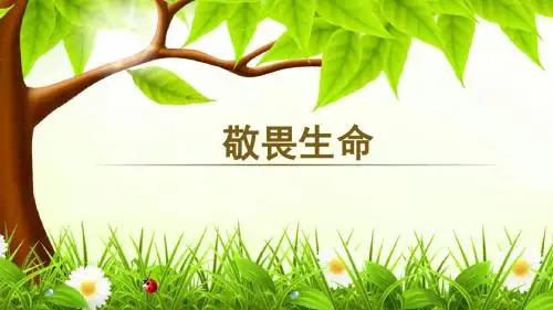 人教版《道德与法治》七年级上册8.2《敬畏生命》课件(共11张PPT)