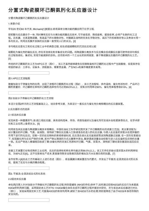 分置式陶瓷膜环己酮氨肟化反应器设计