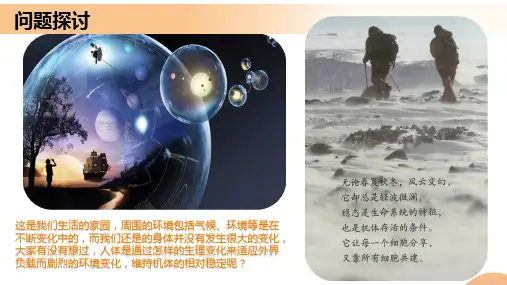 细胞生活的环境(教学课件)高二生物系列(人教版2019选择性必修1)(3)