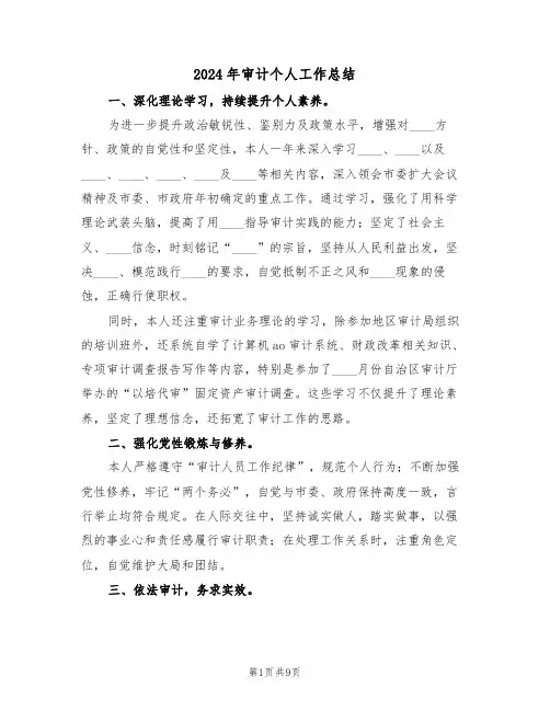 2024年审计个人工作总结（五篇）
