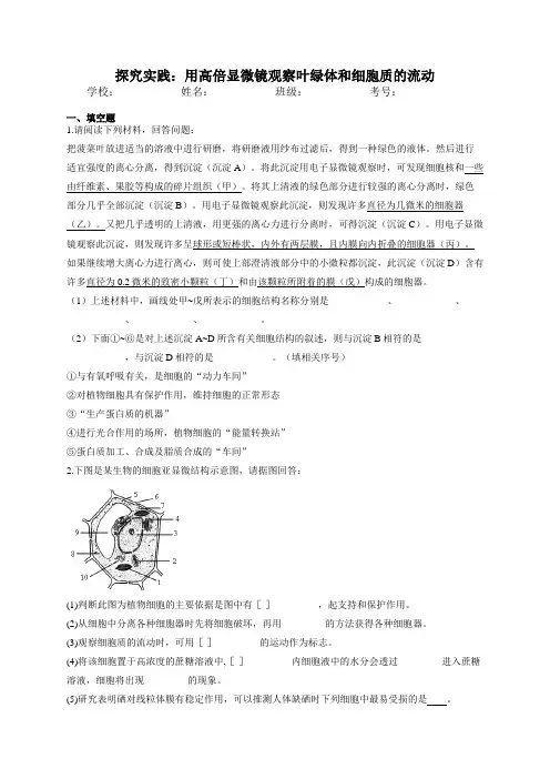 高一生物必修一实验与探究专项训练：3用高倍显微镜观察叶绿体和细胞质的流动