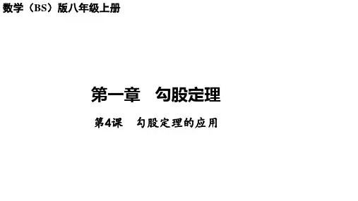 1.3勾股定理的应用 课件  北师大版数学八年级上册(共39张PPT)