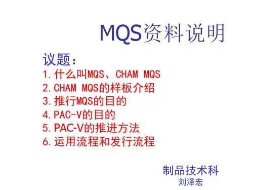 MQS资料说明
