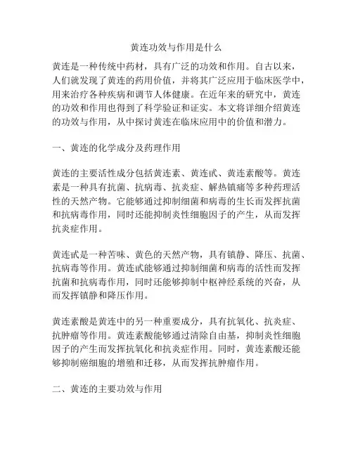黄连功效与作用是什么