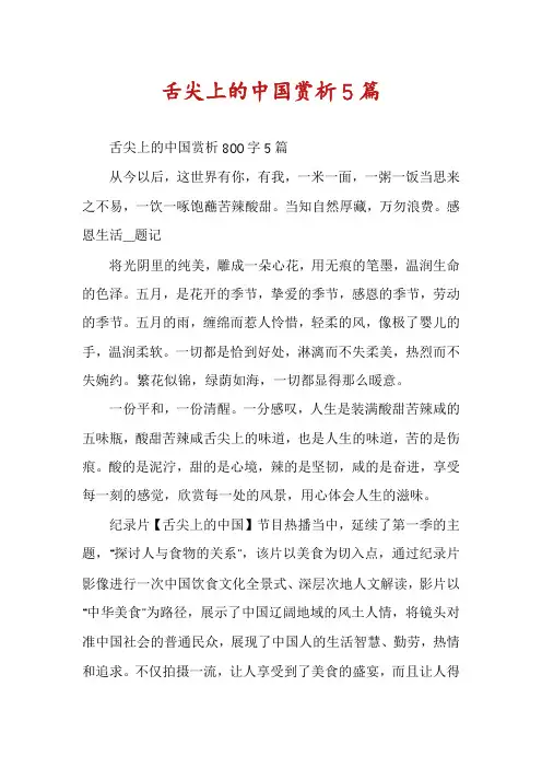 舌尖上的中国赏析5篇
