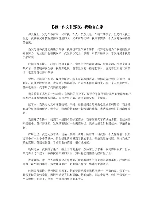 【初二作文】那夜,我独自在家