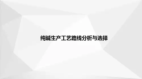 纯碱生产—纯碱生产工艺路线分析与选择