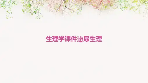 生理学课件泌尿生理