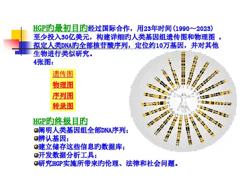 生物信息学生物信息学绪公开课一等奖市赛课获奖课件