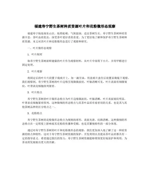 福建寿宁野生茶树种质资源叶片和花粉微形态观察