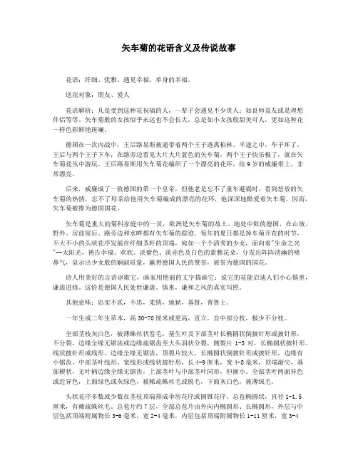 矢车菊的花语含义及传说故事