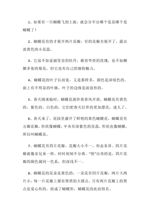 描写蝴蝶花的好句子