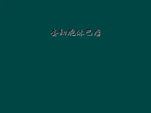 套细胞淋巴瘤【68页】