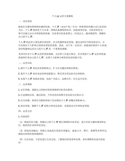 个人ip运营方案模版