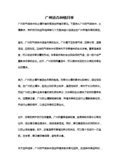广州适合种植月季