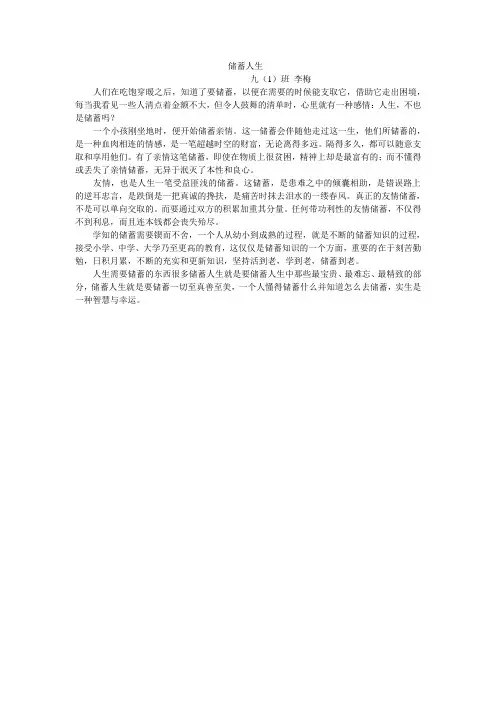 储蓄人生