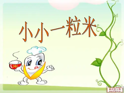 小小一粒米  课件