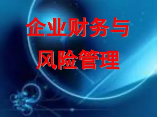企业财务与风险管理精品PPT课件