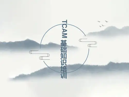 三态内容寻址存储器tacm介绍