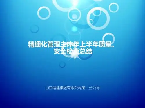 新建 精细化质量管理 幻灯片