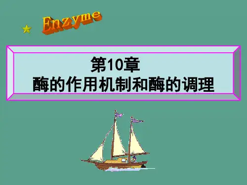 酶的作用机制和酶的调节ppt课件