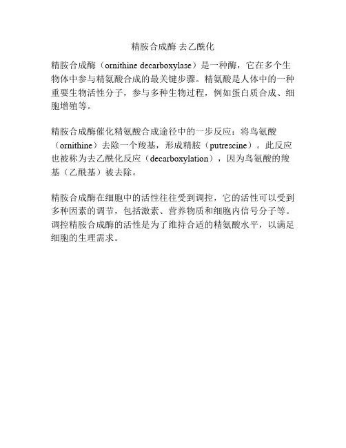 精胺合成酶 去乙酰化