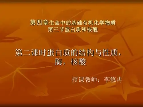 蛋白质的结构和性质,酶、核酸 Microsoft PowerPoint 演示文稿