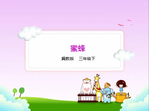 冀教版三年级语文下册9.蜜蜂 课件