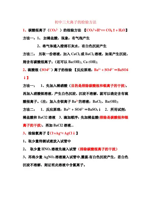 三大离子检验