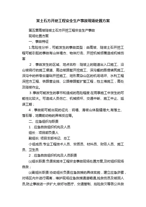某土石方开挖工程安全生产事故现场处置方案