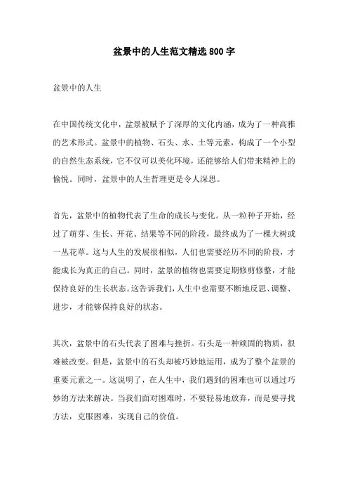 盆景中的人生范文精选800字
